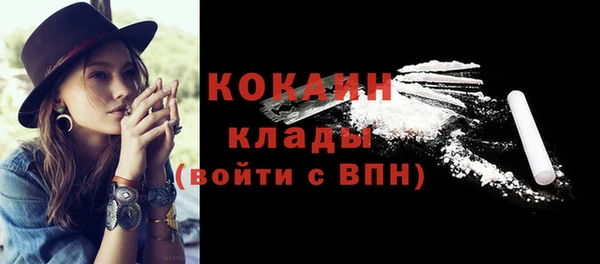 соль ск Нея
