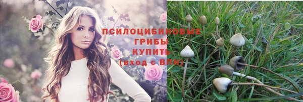 МДПВ Наволоки