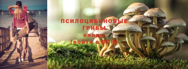 соль ск Нея