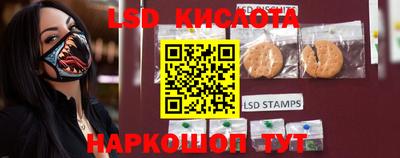 apvp Канаш