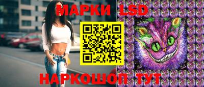 spice Камышлов