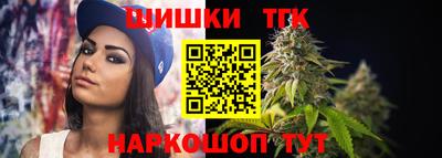 spice Камышлов