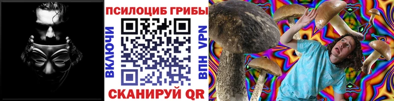 как найти закладки  Нарьян-Мар  Псилоцибиновые грибы мухоморы 