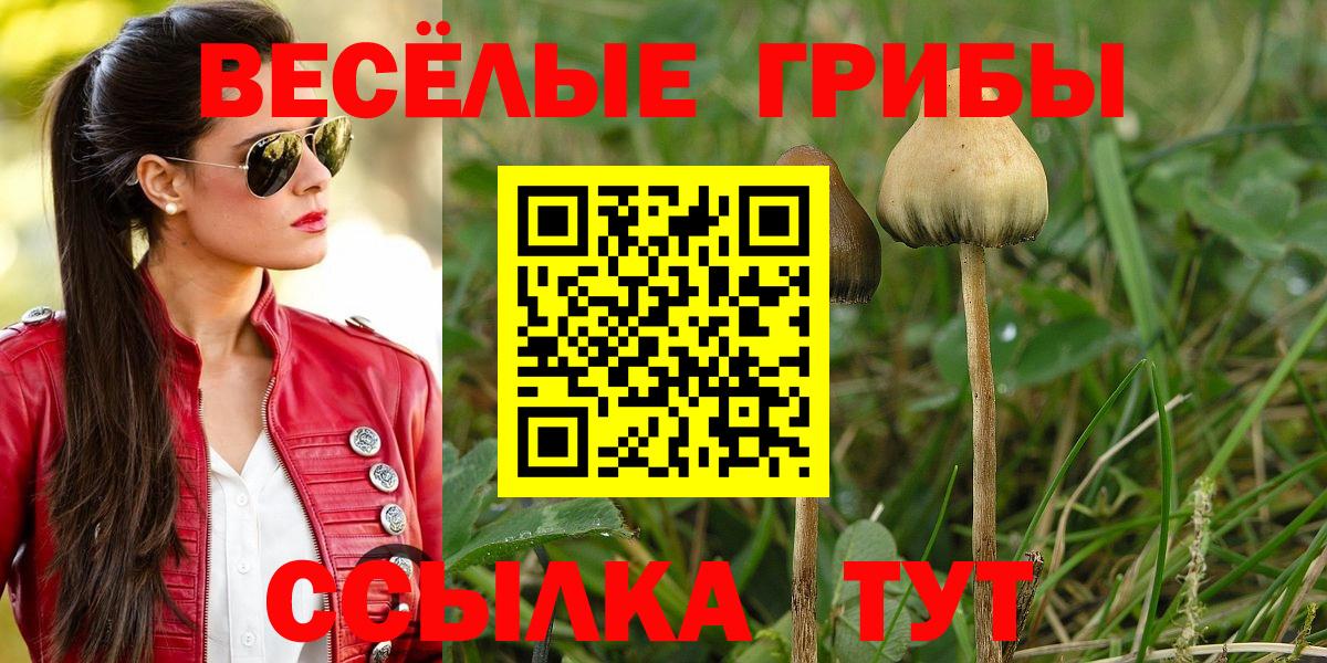 Нарьян-Мар  Псилоцибиновые грибы GOLDEN TEACHER  Вход с VPN  Галлюциногенные грибы GOLDEN TEACHER 